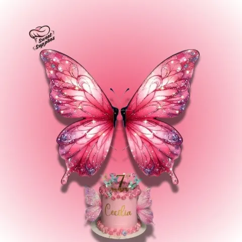 Printed Butterfly Big Size | 2 Pcs Set