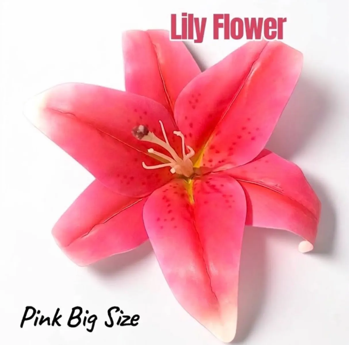 Lily Flower | Big Size