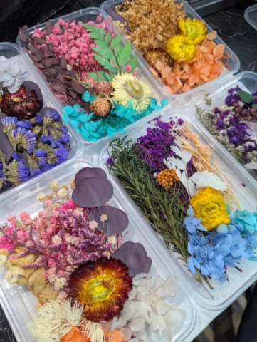 Dried Flowers Random