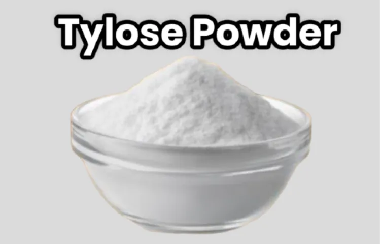 Tylose Powder 100 gm