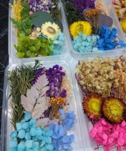 Alternative view of Dried Flowers Random