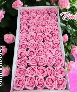 Alternative view of China Rose