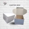 Carton Box