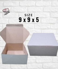Carton Box - 9x9x5