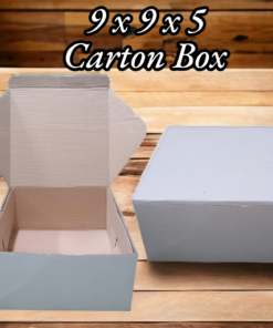 Carton Box - 9x9x5