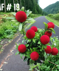 Artificial Flowers AF # 19