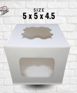 Window box 5x5x4